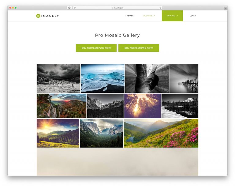 Imagely plugin for gallery WP